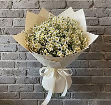 Букет цветов из:  Ромашки #REPLACE_PRED# Поповке