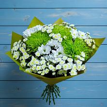 Букет цветов из:  Хризантемы #REPLACE_PRED# Поповке